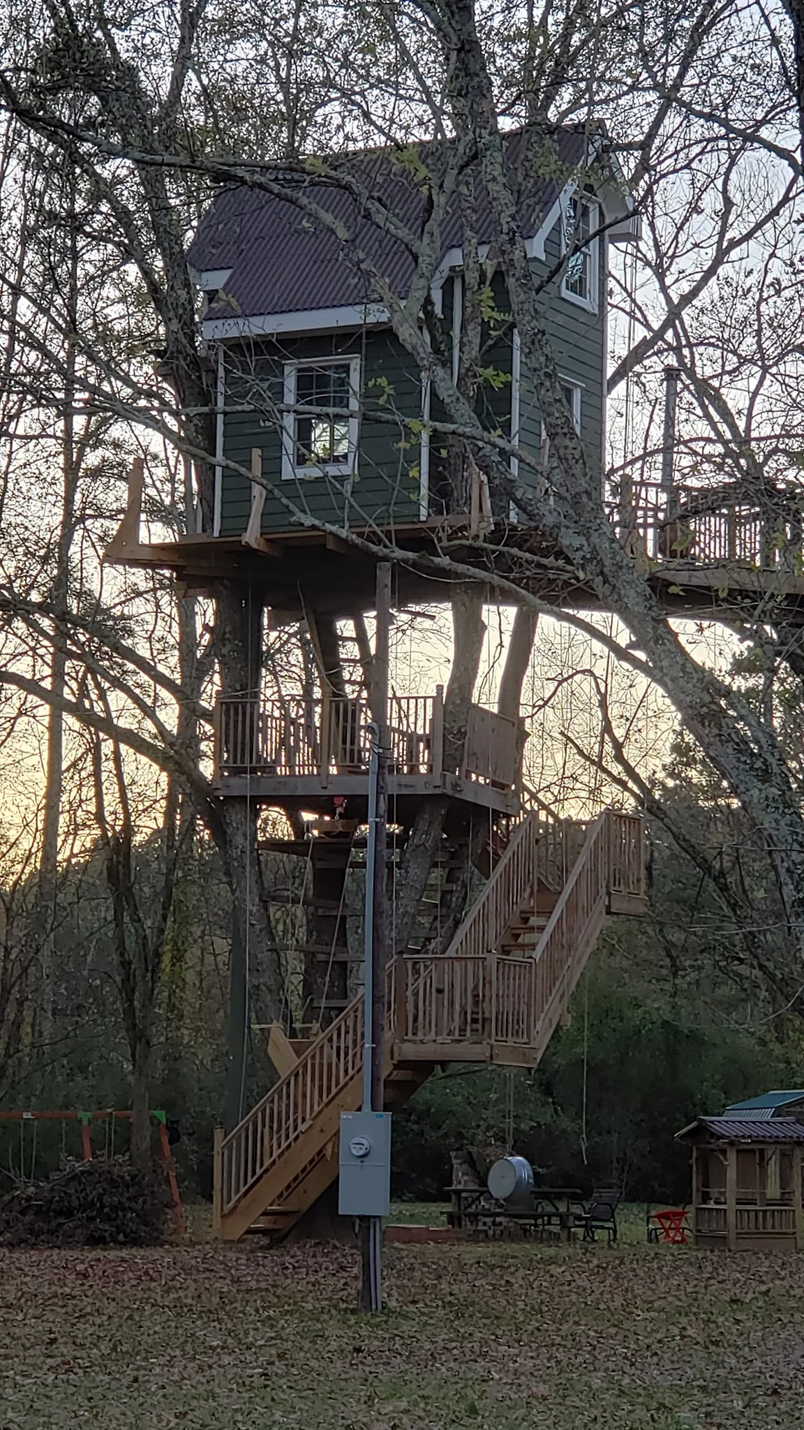 tree house 2.webp