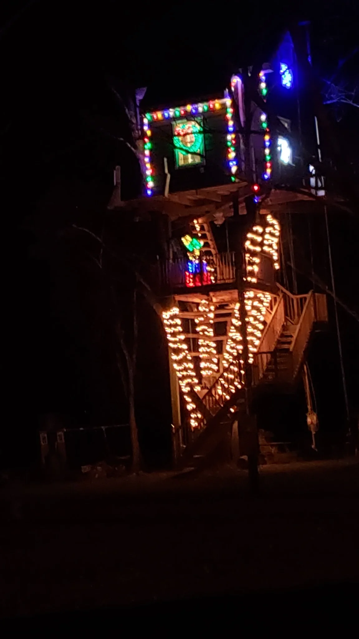 Tree house at Christmas.webp