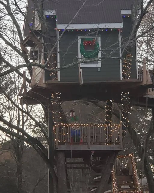 Tree house day with lights on.webp