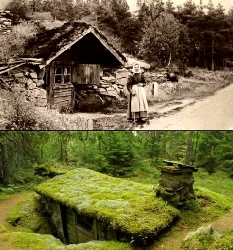 Backstuga Swedish Tiny Home.webp